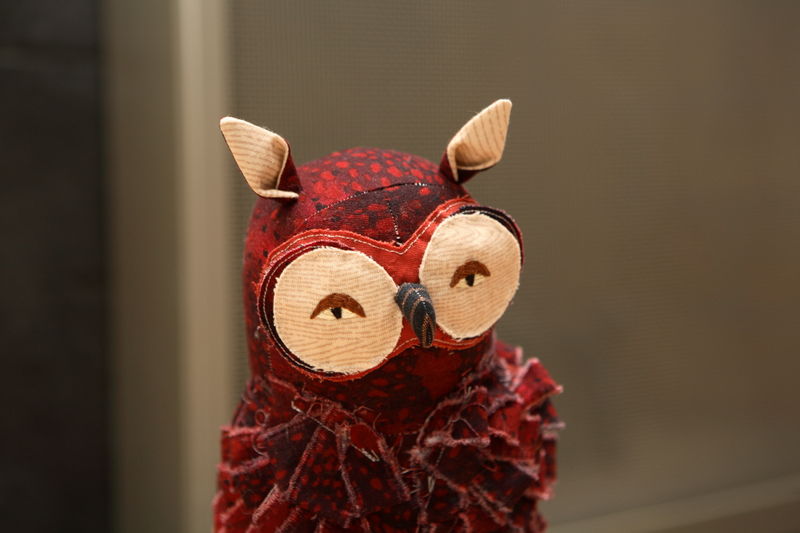 Red Owl004