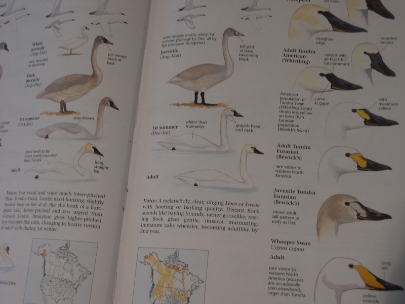 Dscn0001_1 Dscn0001_1