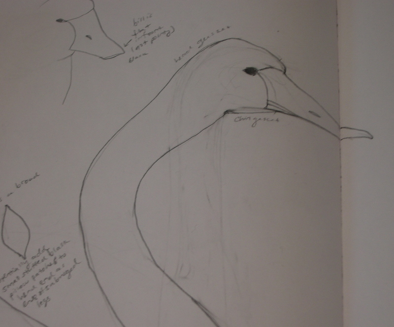 Dscn0003_1 Dscn0003_1