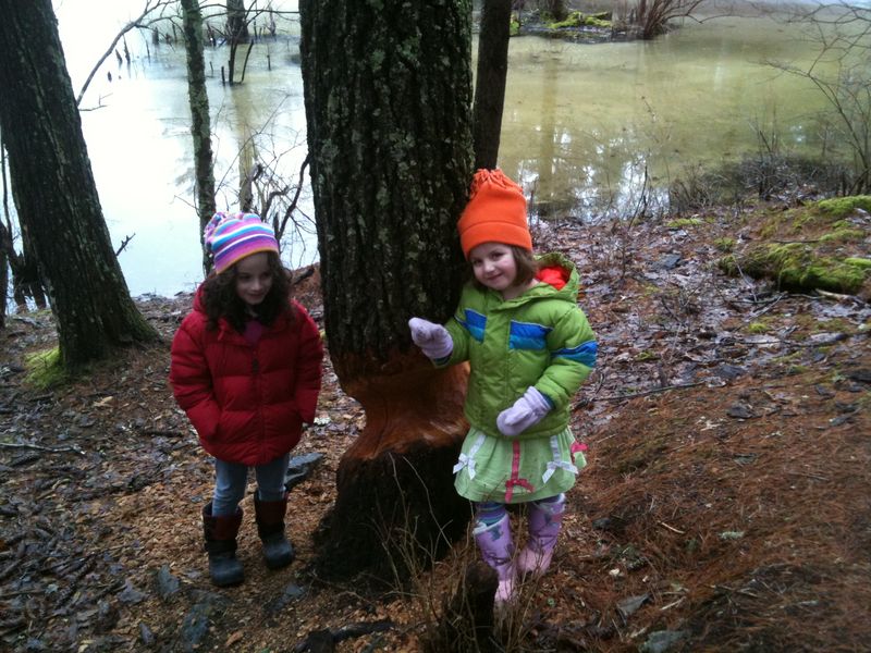 IMG_0044 IMG_0044