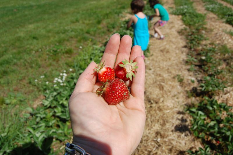 First berries