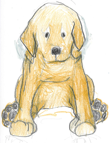 Dog sketch by annie