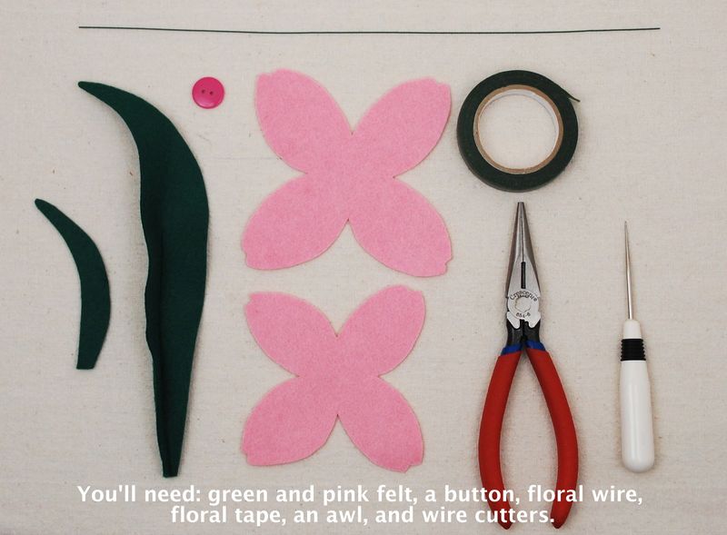 Tulip Tutorial Step 1