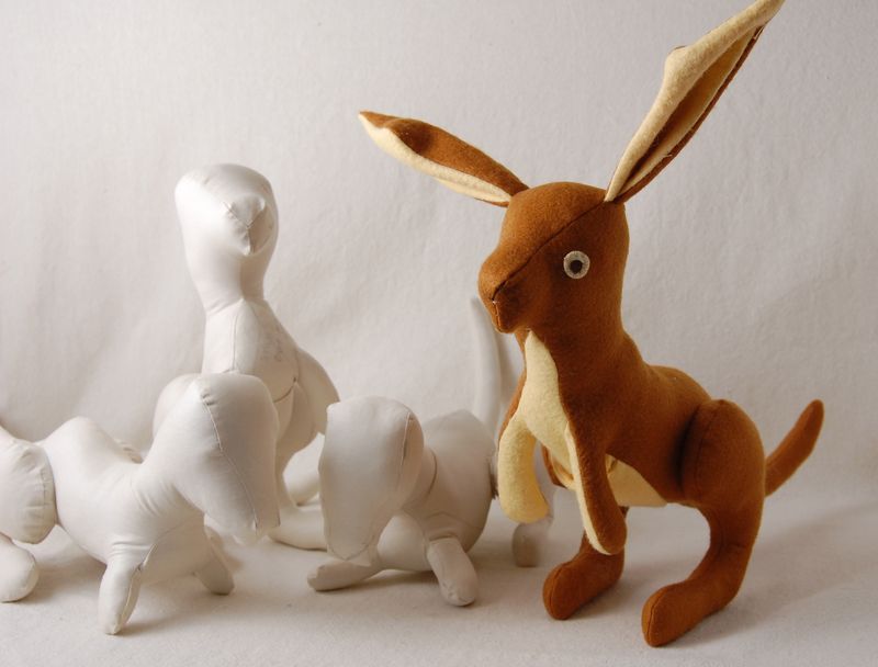 Kangaroo prototypes
