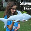 Shawn the Shark - Image 4