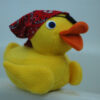 Pirate Duck!