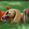 Darcy the Dachshund - Image 3