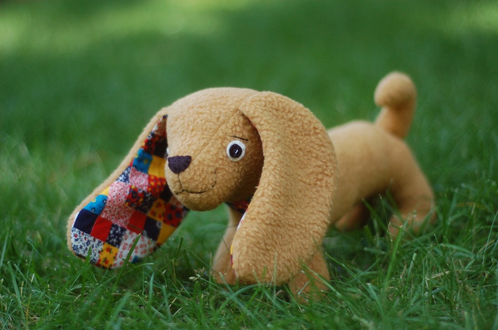 Darcy with Felt Eyes