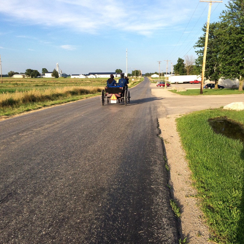 amish buggy