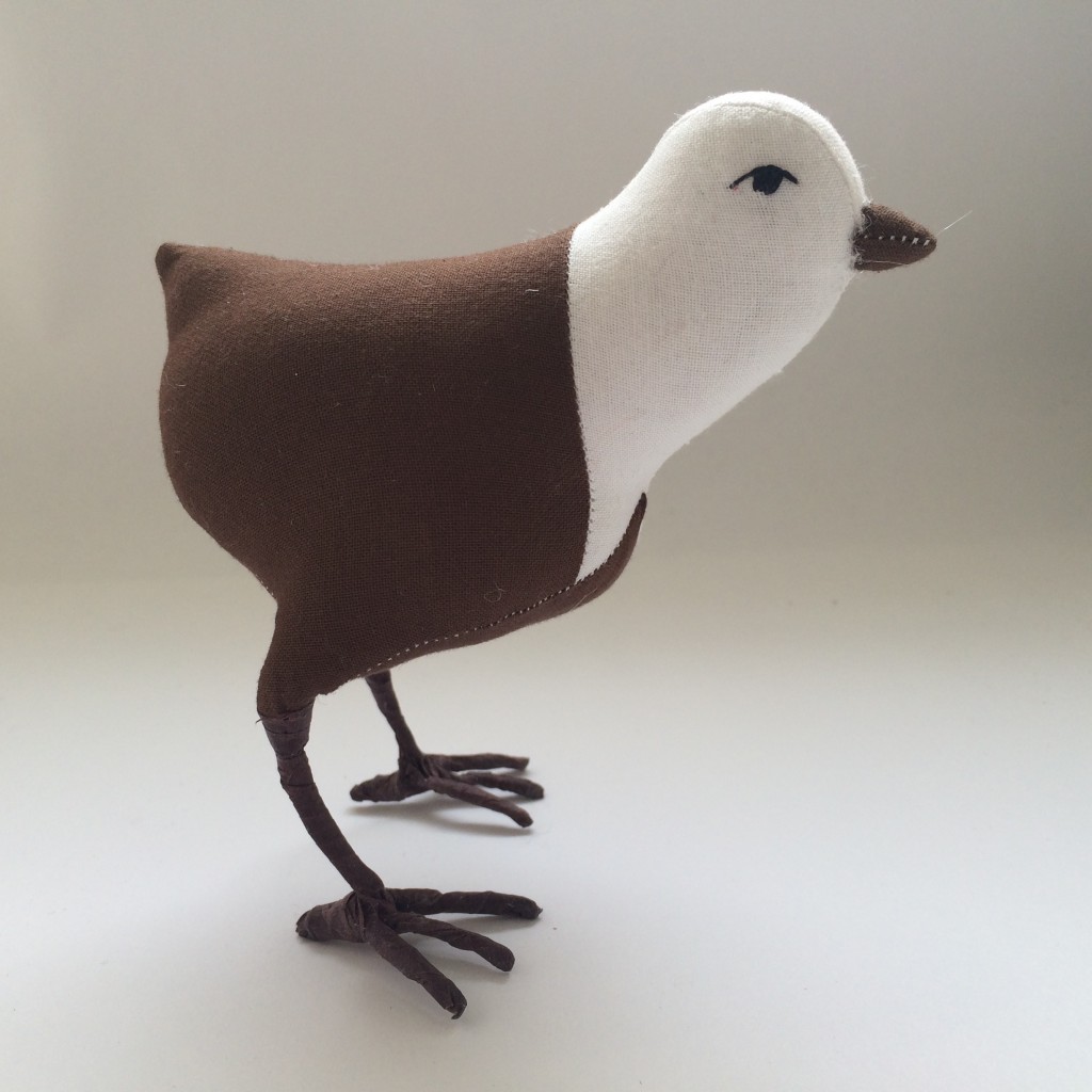 bird without feathers