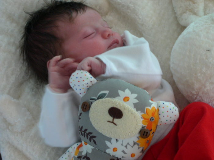 baby with bear